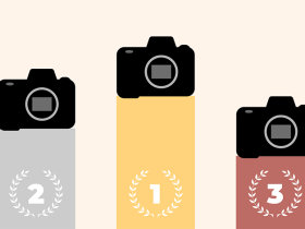 Best DSLRs Illustration