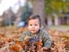 Creamy Bokeh