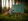 Michal_flashes_01