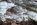 The Rapids of the Yellowstone River