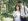 Wedding Photo of a Couple